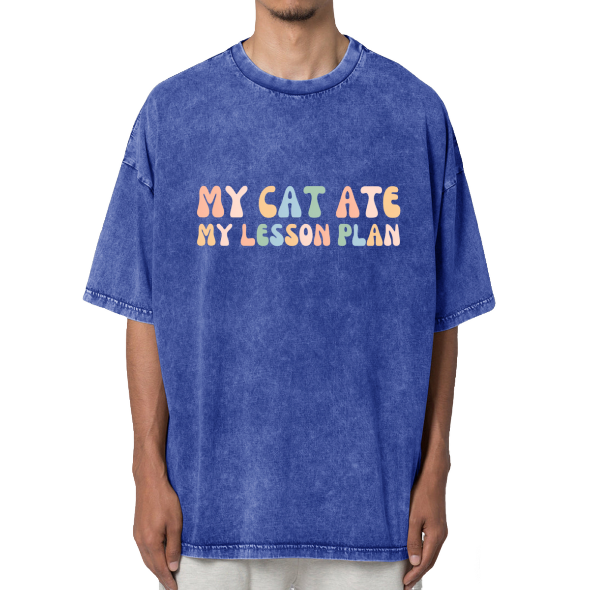 My Cat Ate My Lesson Plan Washed Graphic T-Shirt