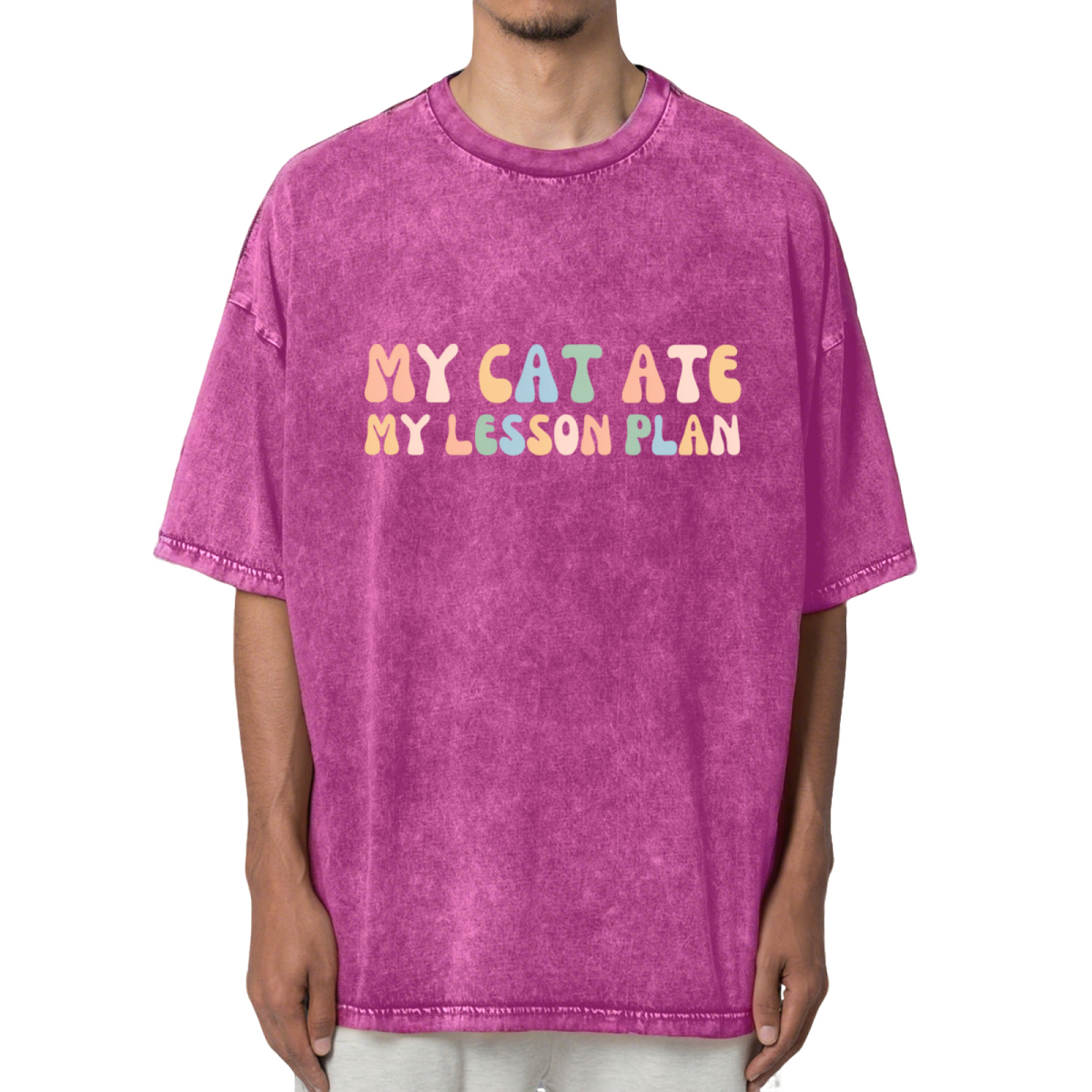 My Cat Ate My Lesson Plan Washed Graphic T-Shirt