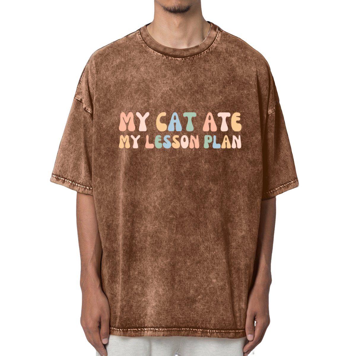 My Cat Ate My Lesson Plan Washed Graphic T-Shirt