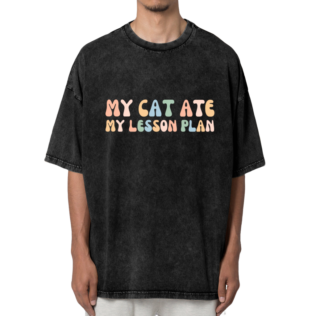 Unisex washed graphic T-shirt with My Cat Ate My Lesson Plan themed design, product image
