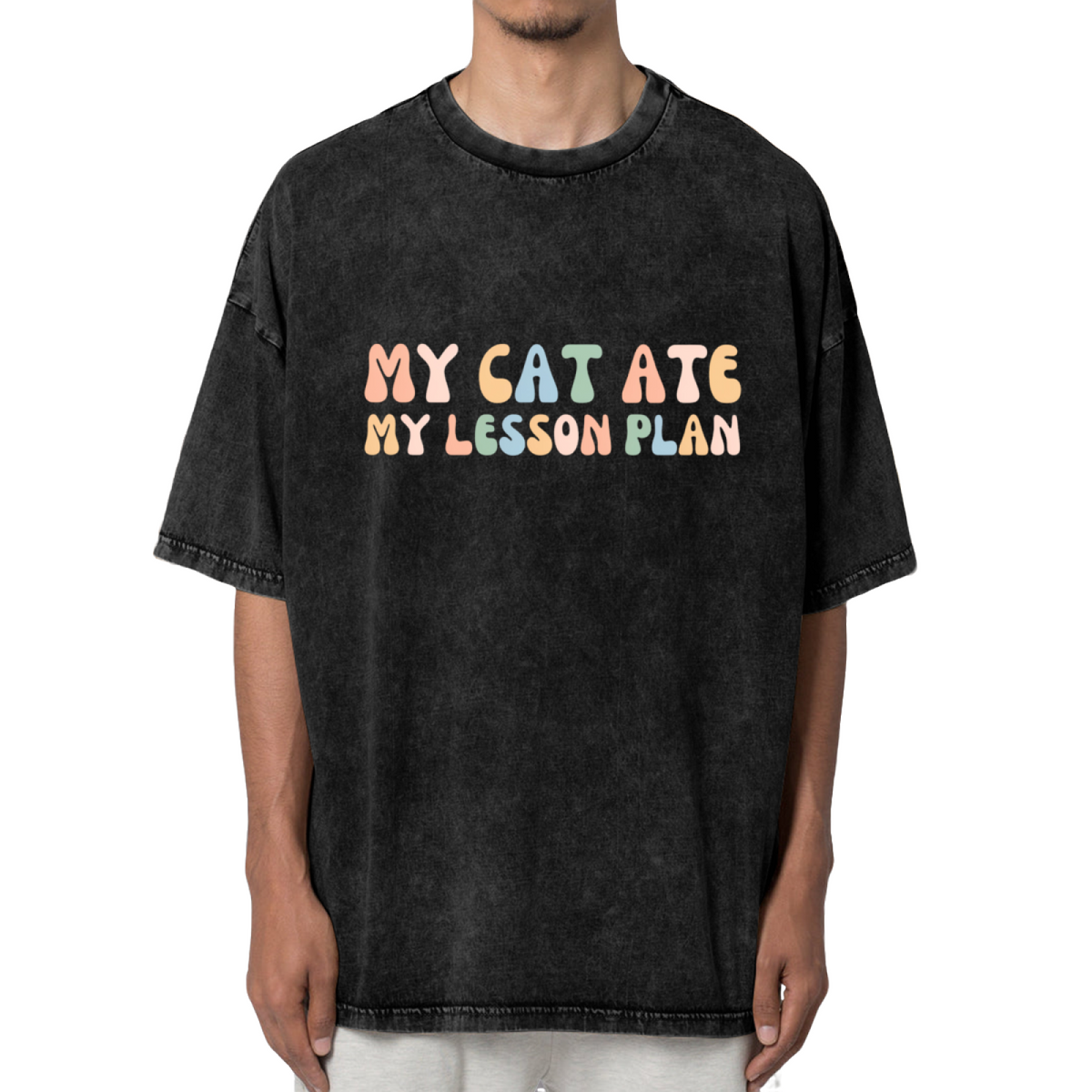 Unisex washed graphic T-shirt with My Cat Ate My Lesson Plan themed design, product image