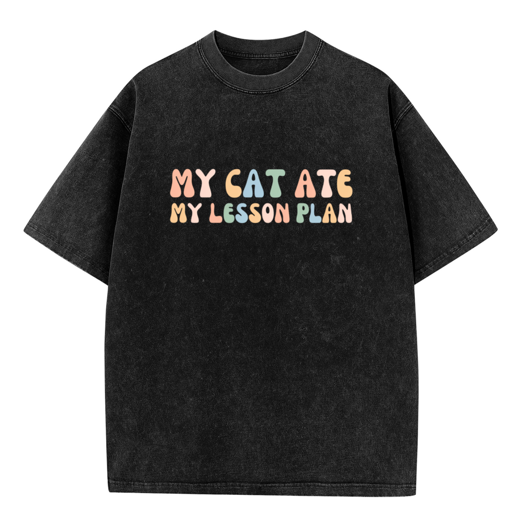 Unisex washed graphic T-shirt with My Cat Ate My Lesson Plan themed design, product image