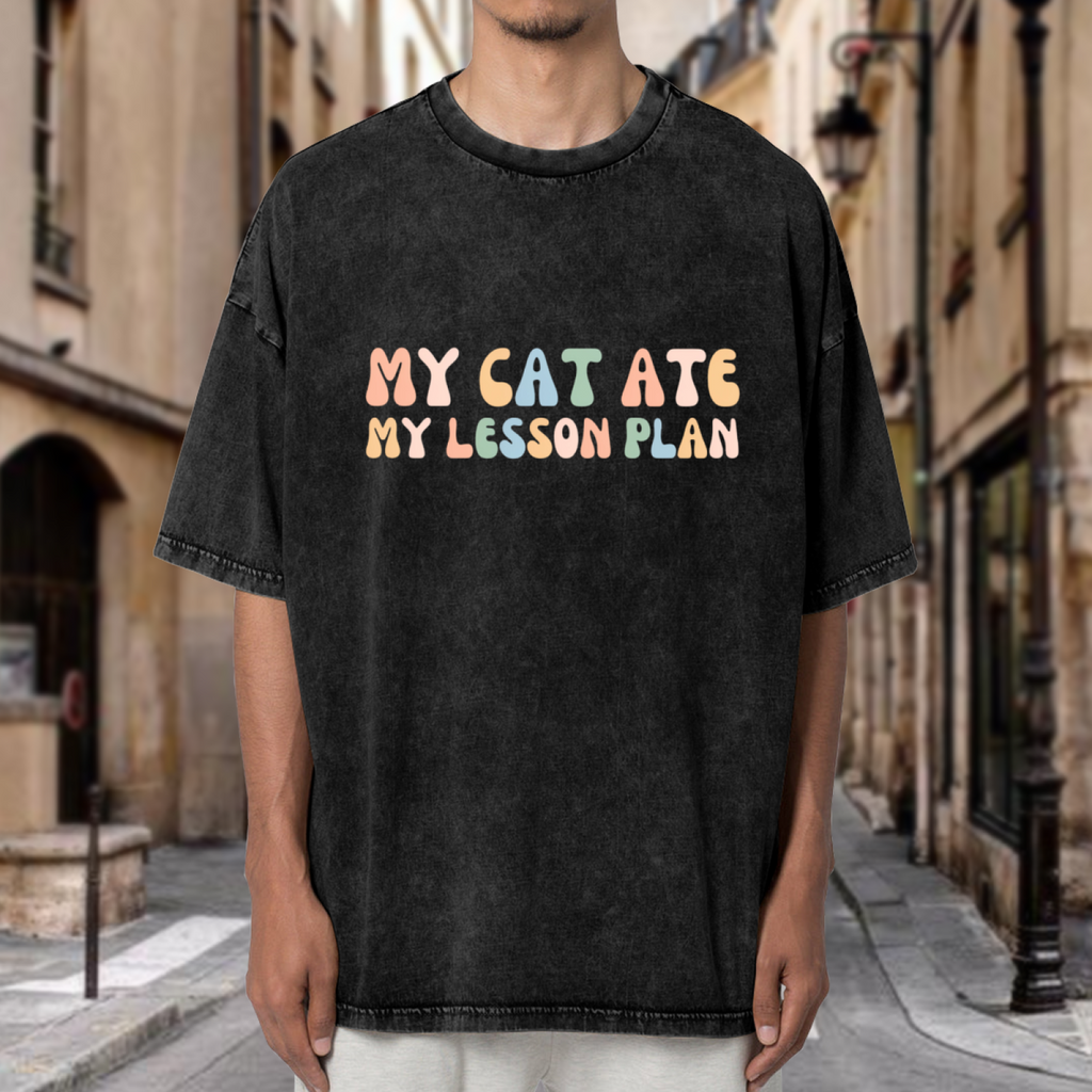 Unisex washed graphic T-shirt with My Cat Ate My Lesson Plan themed design, product image