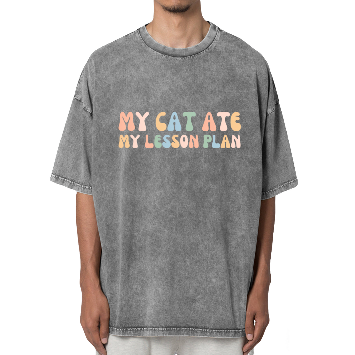 My Cat Ate My Lesson Plan Washed Graphic T-Shirt