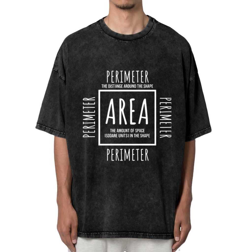 Unisex washed graphic T-shirt with Area Perimeter themed design, product image