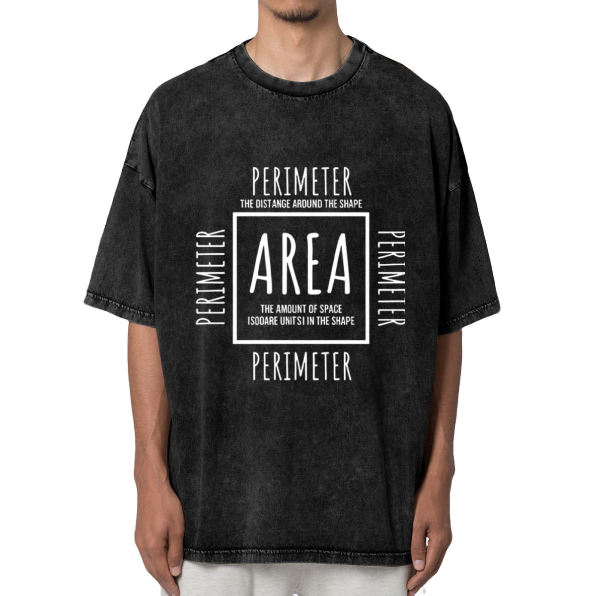 Unisex washed graphic T-shirt with Area Perimeter themed design, product image