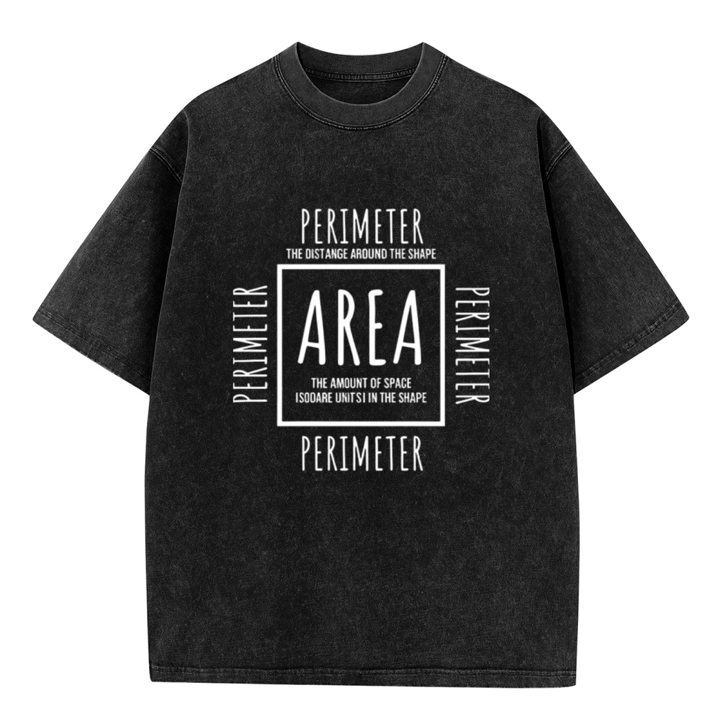 Unisex washed graphic T-shirt with Area Perimeter themed design, product image
