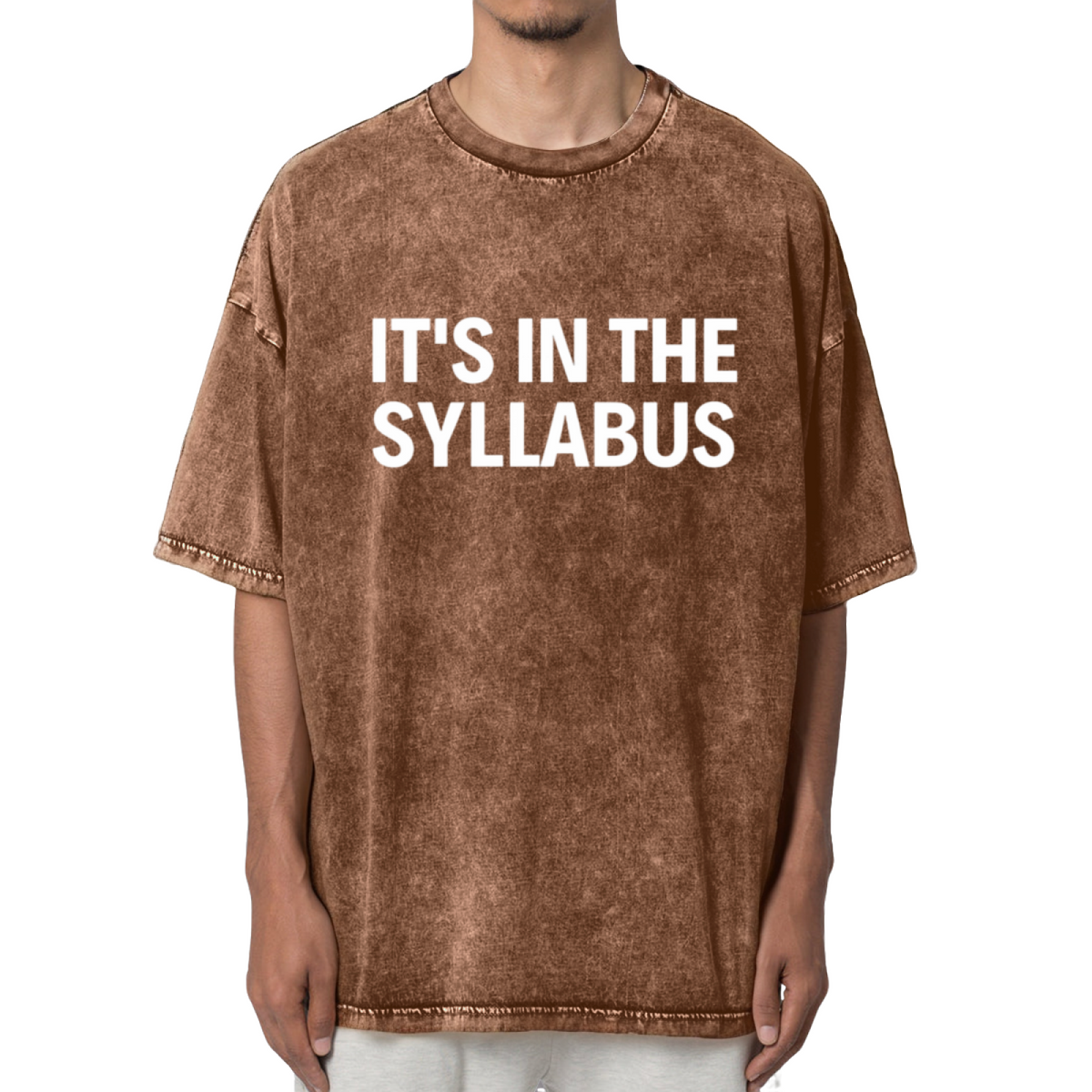 It's In The Syllabus Gifts For Teachers Washed Graphic T-Shirt