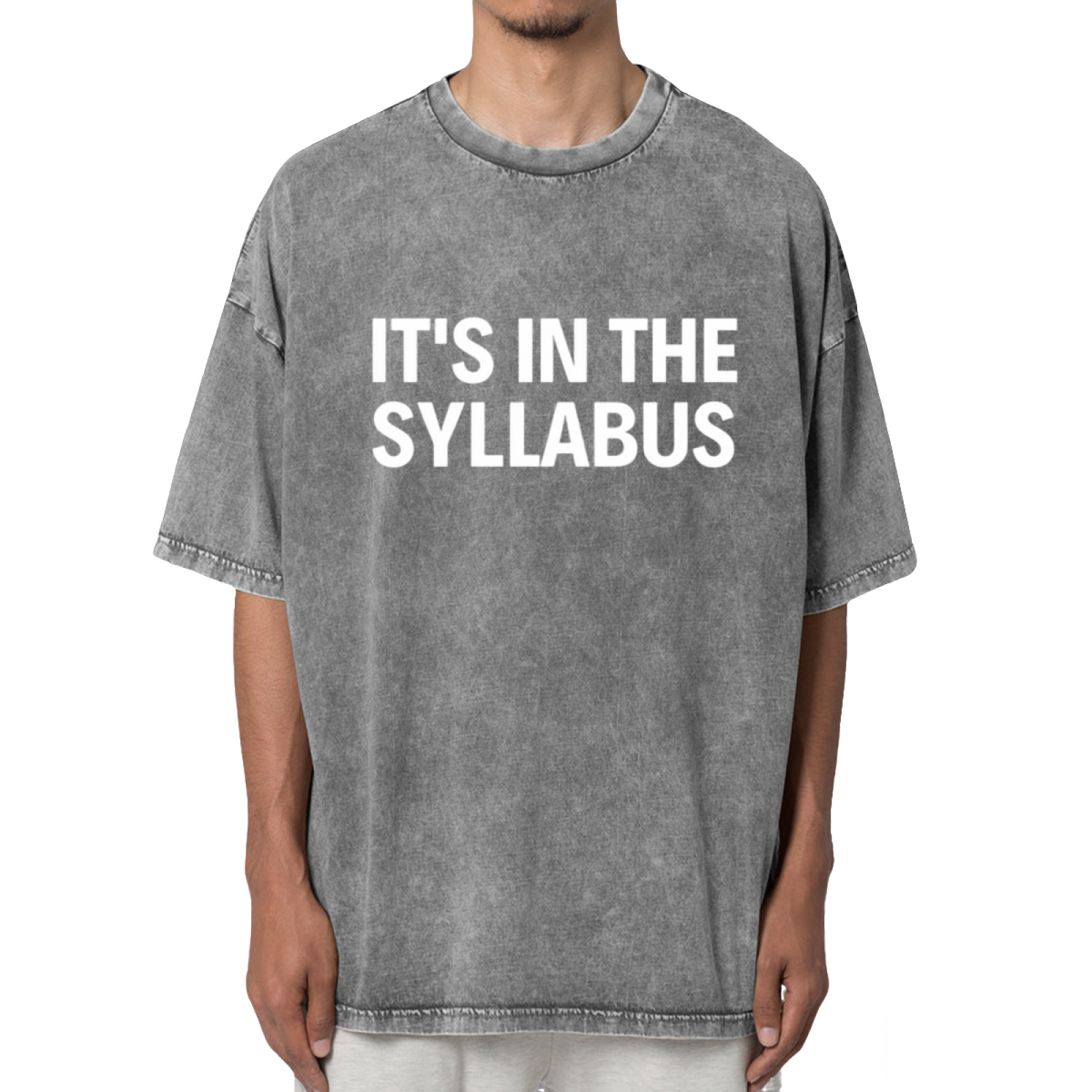 It's In The Syllabus Gifts For Teachers Washed Graphic T-Shirt