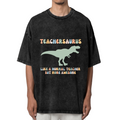 Unisex washed graphic T-shirt with Teachersaurus themed design, product image
