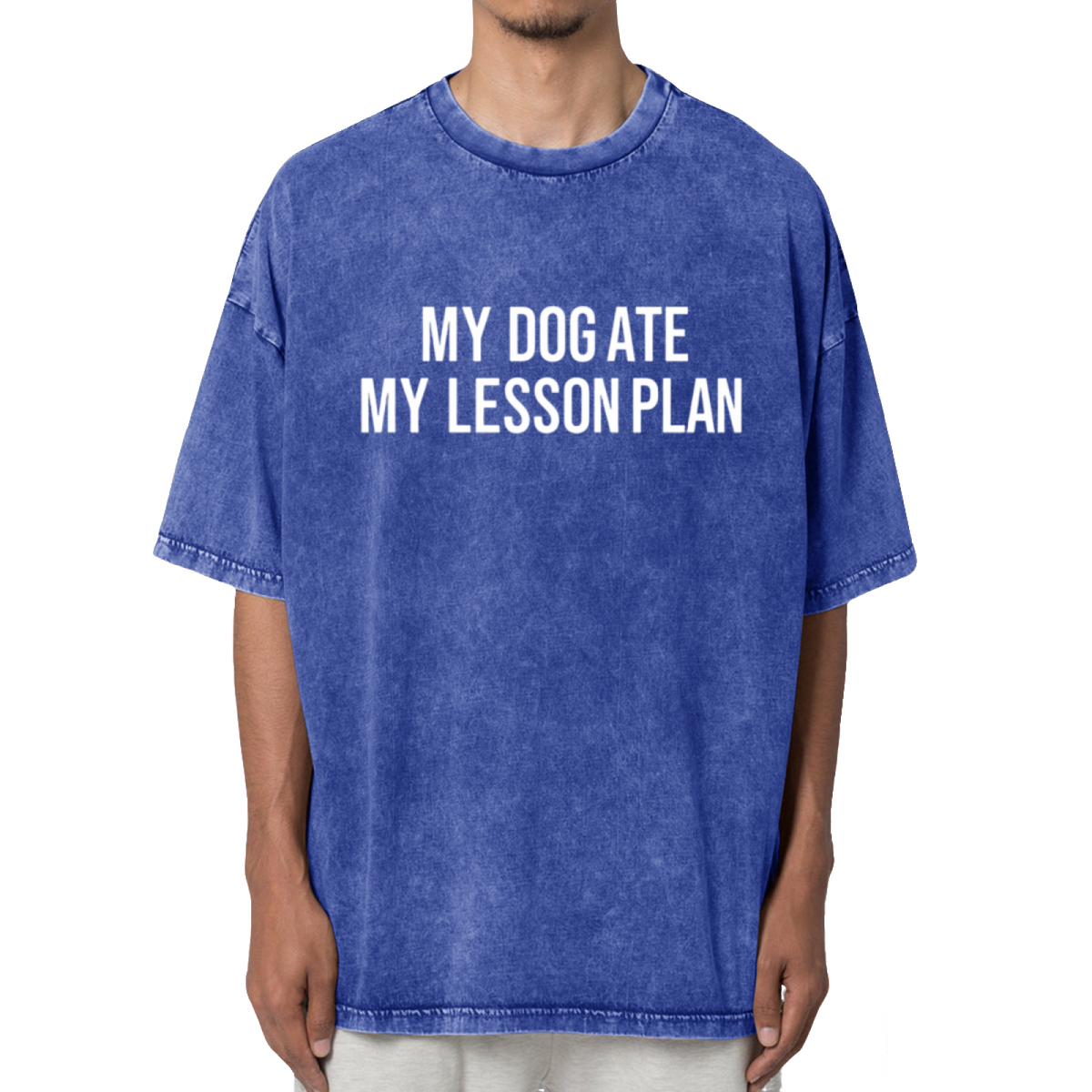 My Dog Ate My Lesson Plan Washed Graphic T-Shirt
