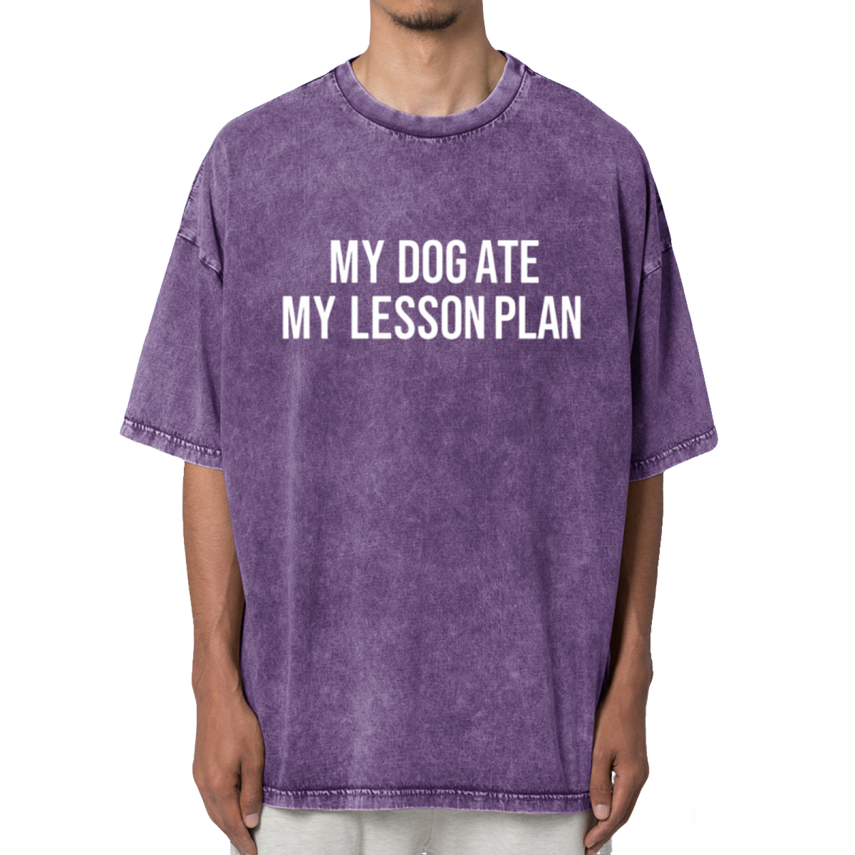My Dog Ate My Lesson Plan Washed Graphic T-Shirt
