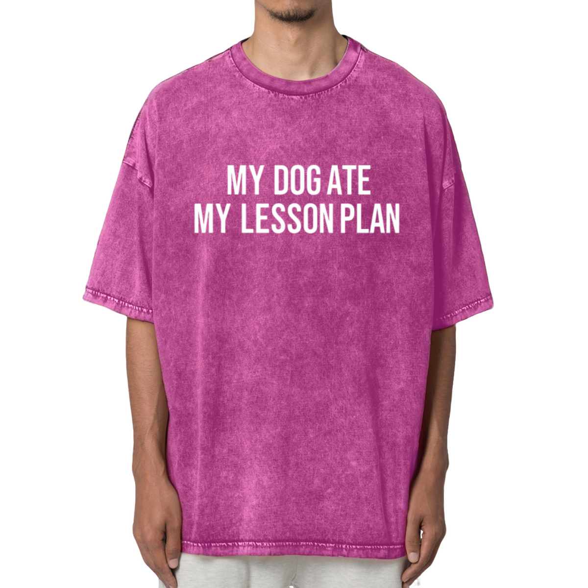 My Dog Ate My Lesson Plan Washed Graphic T-Shirt