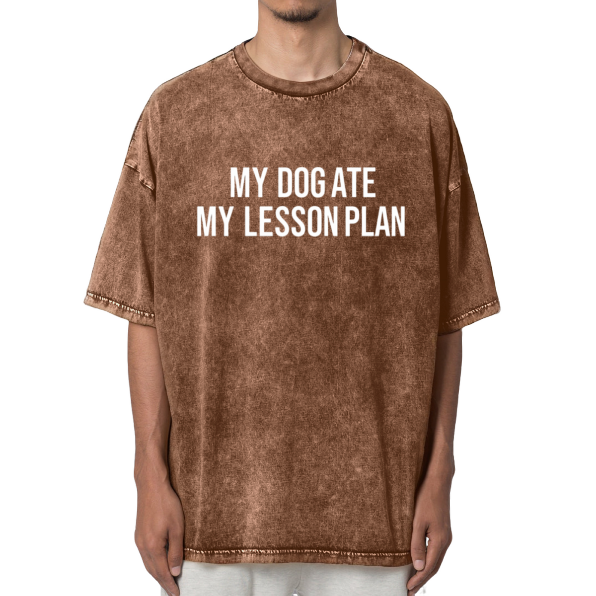My Dog Ate My Lesson Plan Washed Graphic T-Shirt