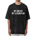 Unisex washed graphic T-shirt with My Dog Ate My Lesson Plan themed design, product image