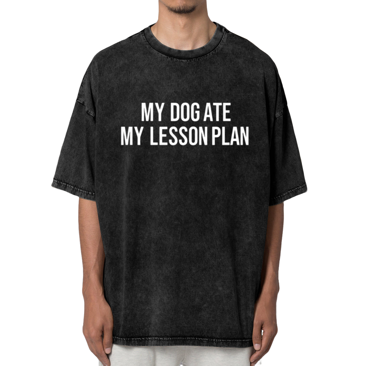 Unisex washed graphic T-shirt with My Dog Ate My Lesson Plan themed design, product image