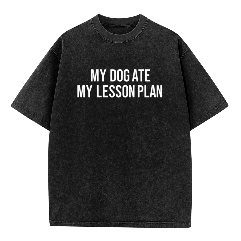 Unisex washed graphic T-shirt with My Dog Ate My Lesson Plan themed design, product image
