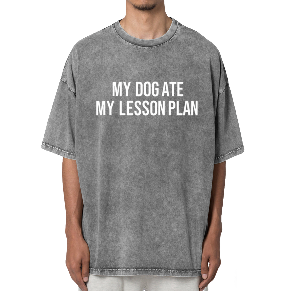 My Dog Ate My Lesson Plan Washed Graphic T-Shirt